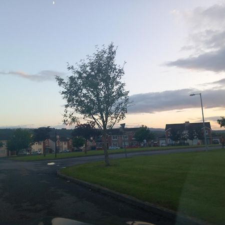 Sycamore Place Carrick-on-Suir Exterior foto